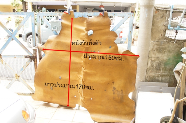 หนังวัวแท้ทั้งตัว