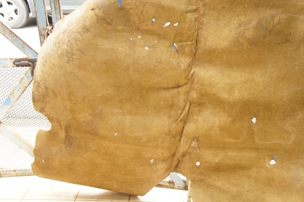 หนังวัวแท้ทั้งตัว หนังวัวแท้ทั้งตัว