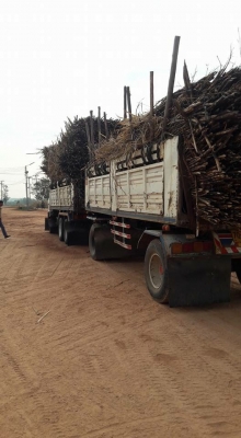 ขาย HINO 260 พ่วงแม่ลูก กระบะเหล็ก รถปี 47