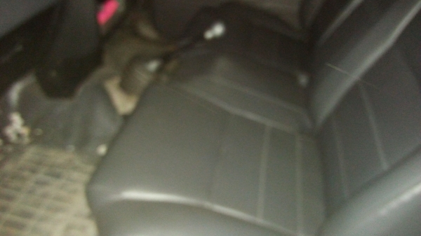 ขายเป็นอะไหล่ ไมตี้ ตอนเดียว เครื่อง แน่นๆ แห้งๆ น้ำไม่ดัน มีเพาว์เวอร์ แอร์เย็น เบรคดี ขายเป็นอะไหล่ ไมตี้ ตอนเดียว เครื่อง แน่นๆ แห้งๆ น้ำไม่ดัน มีเพาว์เวอร์ แอร์เย็น เบรคดี