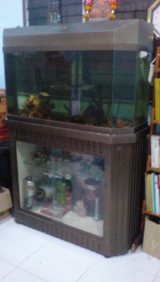 ตู้ปลา8เหลียมและตู้โชว์ เสริมสิริมงคล