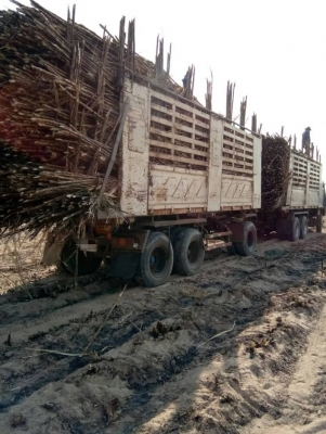 ขาย HINO 344 พ่วงแม่ลูก กระบะเหล็กสามมิตร รถปี 53