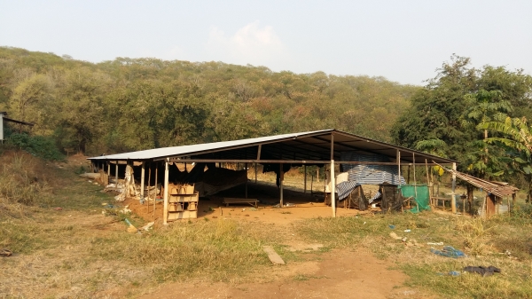 ขายด่วน ขายด่วน