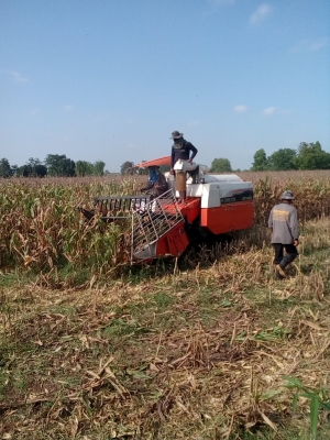 ขายรถเกี่ยวข้าวdc68 g ปี 54 พร้อมปากเกี่ยวข้าวโพดราคา 289000