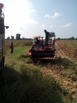 ขายรถเกี่ยวข้าวdc68 g ปี 54 พร้อมปากเกี่ยวข้าวโพดราคา 289000