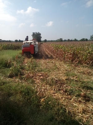 ขายรถเกี่ยวข้าวdc68 g ปี 54 พร้อมปากเกี่ยวข้าวโพดราคา 289000