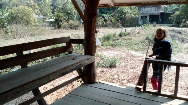 ขายบ้านพร้อมที่ดินถมที่แล้ว ขายบ้านพร้อมที่ดินถมที่แล้ว