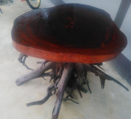 ขายโต๊ะขารากไม้