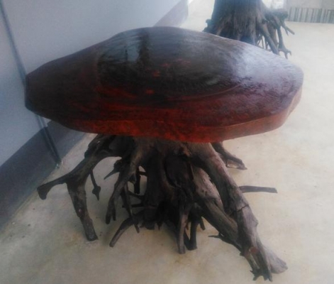 ขายโต๊ะขารากไม้