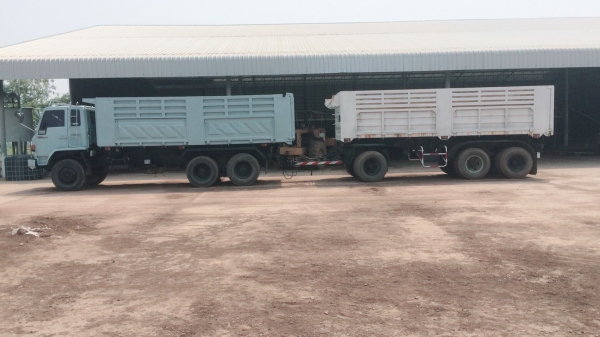 ขายร็อกกี้นางฟ้า แม่/ลูก-สามคาน