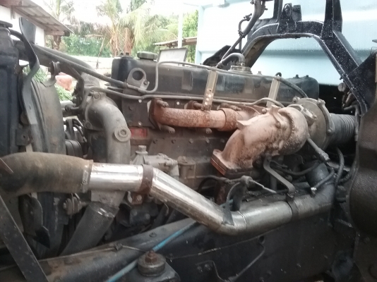 ขายร็อกกี้นางฟ้า แม่/ลูก-สามคาน