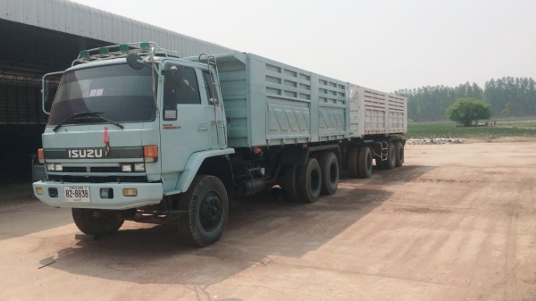 ขายร็อกกี้นางฟ้า แม่/ลูก-สามคาน