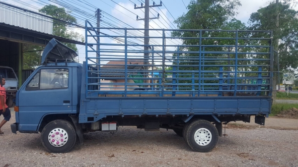 6ล้อล่อง ISUZU 115แรงม้า แท้ห้าง คัทซีสวย เครื่องดี เล่มพร้อม สภาพพร้อมใช้งาน ราคาคุยได้ สอบถาม 0872976734