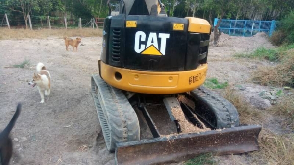 CAT 303 CR