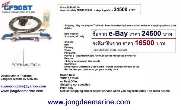 Steering system for boats