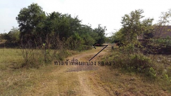 ขายที่ดินเปล่าขนาดเล็กเหมาแก่การสร้างบ้านมีตั้งแต่ 80 ตารางวา ขายที่ดินเปล่าขนาดเล็กเหมาแก่การสร้างบ้านมีตั้งแต่ 80 ตารางวา