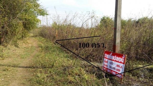 ขายที่ดินเปล่าที่อำเภอหนองกี่100 ตารางวา สายๆ