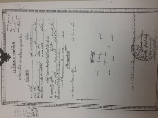 ขายที่ดินเปล่าที่อำเภอหนองกี่100 ตารางวา สายๆ