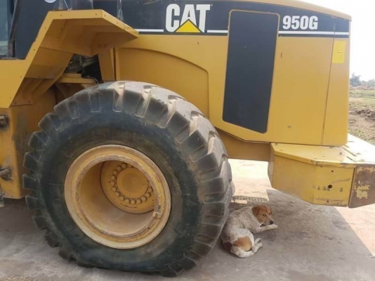 ขาย 1,450,000 บาท CATTERPILAR 950G ทำงาน 16,xxx ชม เครื่องดี เกียร์ดี  ระบบพร้อมใช้ ยางสวย เอกสารชื้อขาย รถอยู่ อยุธยา  090-772-3710 090-772-3708