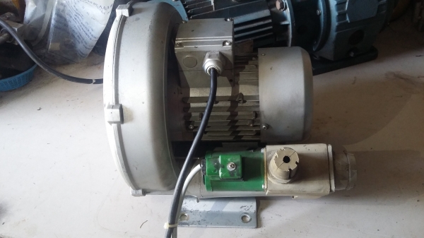 Ringbower (2500บาท)