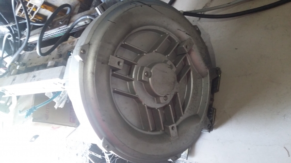 Ringbower (2500บาท)