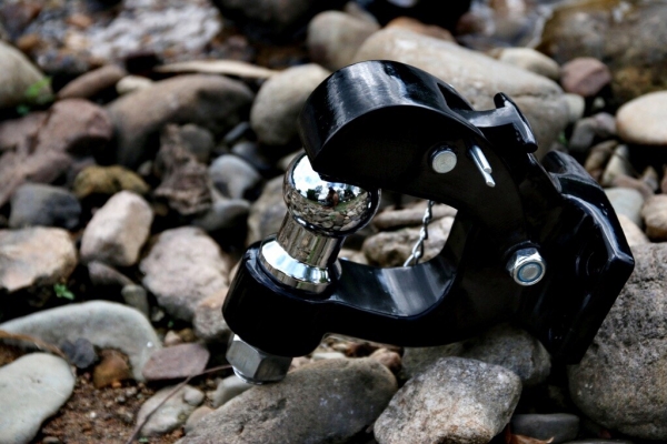 หัวบอนเงินโครเมี่ยม