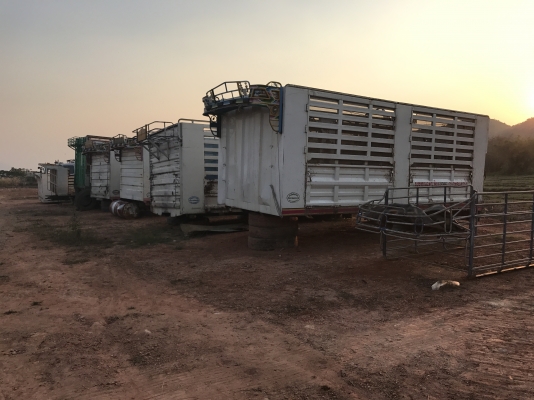 ขายกระบะดั๊มและไม่ดั๊ม