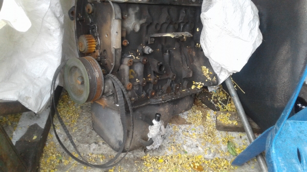 อะหลั่ยทาทา CNG