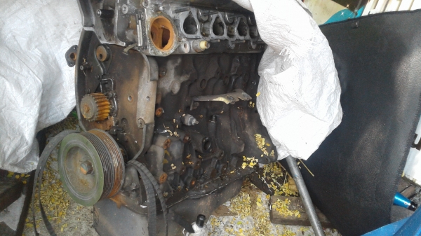 อะหลั่ยทาทา CNG