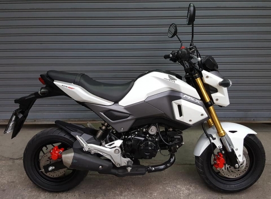 ขออนุญาตขาย HONDA MSX NEW 125SF อายุรถ 9 เดือน จดทะเบียนปี 2017 รุ่นล่าสุด สีขาวมุก ฟรีค่าโอน ขออนุญาตขาย HONDA MSX NEW 125SF อายุรถ 9 เดือน จดทะเบียนปี 2017 รุ่นล่าสุด สีขาวมุก ฟรีค่าโอน