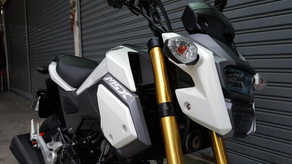 ขออนุญาตขาย HONDA MSX NEW 125SF อายุรถ 9 เดือน จดทะเบียนปี 2017 รุ่นล่าสุด สีขาวมุก ฟรีค่าโอน ขออนุญาตขาย HONDA MSX NEW 125SF อายุรถ 9 เดือน จดทะเบียนปี 2017 รุ่นล่าสุด สีขาวมุก ฟรีค่าโอน