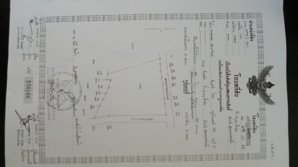 ขายสวนยาง 48 ไร่เศษ