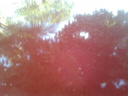 ***ขายแล้วครับขอบคุณ Truck2hand ไมตี้เอ็กซ์ ปี36/93 เครื่อง 2L 2.5 ฟิตใหม่ ไม่ไอ ไม่เยิ้ม ช่วงล่างปึ๊ก คัสซีสวย ไม่ส่าย ไม่หอน ภายในสวย เบาะไม่ขาด คอนโซลครบ แอร์เย็น ไม่พาวเวอร์ หน้า-หลังเดิมๆไม่เคยชน พื้นปูกระบะ ล้อแม็กซ์ ยางดี 4เส้น สีดี บาง มีรอยขีดข่ว