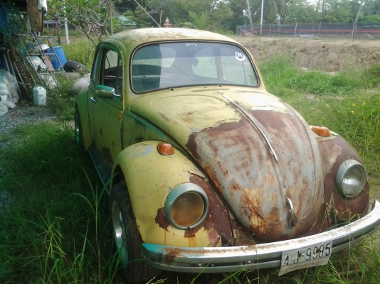 ขายโฟลค์เต่า  78000