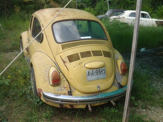 ขายโฟลค์เต่า  78000