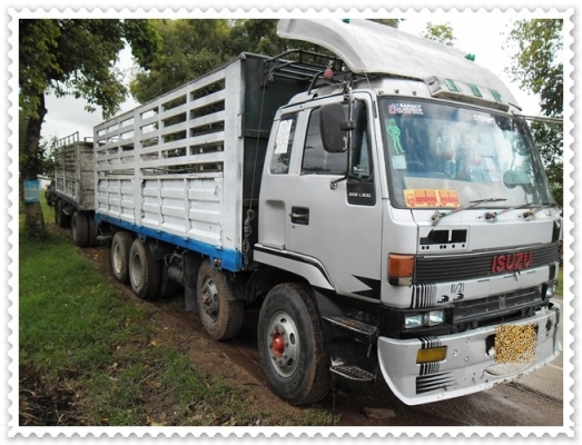 สิบล้องพ่วง แม่+ลูก 2คานหน้า ไม่ดั้ม สวยมาก