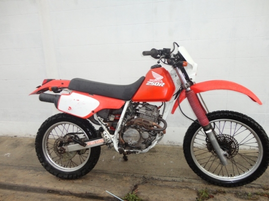 ขาย HONDA XLR250 โกดัง ขาย HONDA XLR250 โกดัง