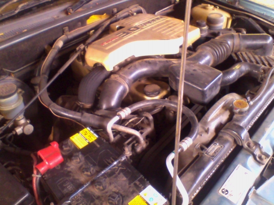 ฝากรูป ซื้อขายแล้ว