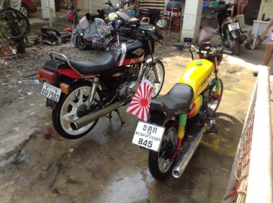 ขาย คอนคอร์ด 135 ขาย 4500 ลองดูคับ มีเล่ม คับ ขาย คอนคอร์ด 135 ขาย 4500 ลองดูคับ มีเล่ม คับ