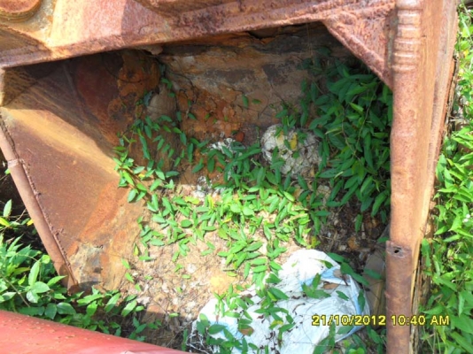 Catterpillar 320V2 บุ้งกี๋ตักของเบามีขนาดใหญ่มาก ตักได้ประมาณ 1. คิว