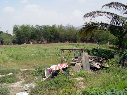 ขายด่วน บ้านพร้อมที่ดิน ขายด่วน บ้านพร้อมที่ดิน