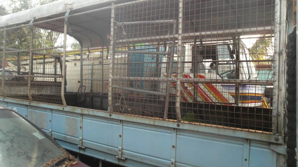 อีซูซุ 6 ล้อ NKR เครื่อง 110 แรง กระบะยาว 4.30 เมตร อีซูซุ 6 ล้อ NKR เครื่อง 110 แรง กระบะยาว 4.30 เมตร