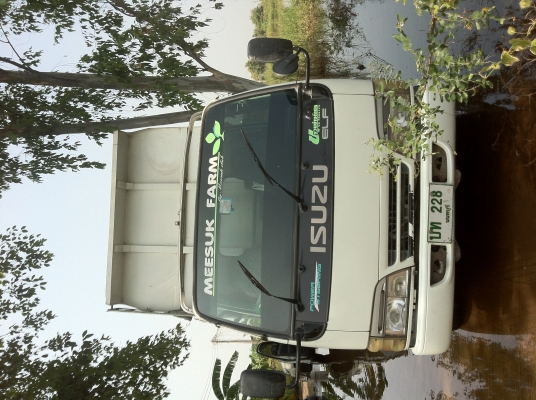 ขายรถบรรทุกสี่ล้อกลาง isuzu elf ไม่ติดเวลา กระบะดัมพ์