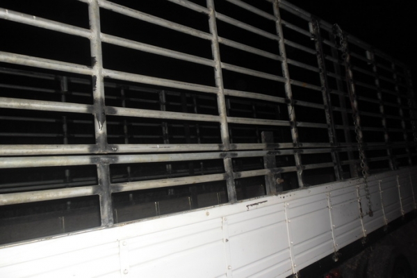 ขาย 6ล้อHINO บรรทุก HINO FC145A ปี47 เครื่อง WO6D 150 แรง ไม่เยิ้ม ไม่หลวม  กระบะยาว 5.5ม.พื้นเหล็กคอกเหล็กแป๊บ แข็งแรง หัวบางไม่ผุ ภายในสวยคอนโซลครบ ช่วงล่างปึ๊ก คัสซีสวยไม่บวมไม่ดาม ยาง8.25ดี 6เส้น พร้อมใช้ พร้อมลุยงาน ราคาต่อรองได้ครับ