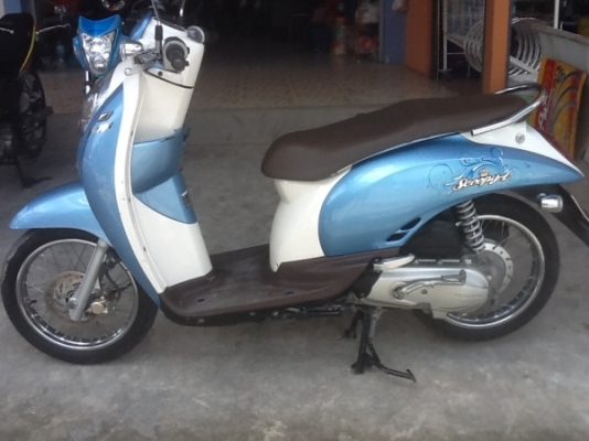ขาย Scoopy I ปี 53 ราคา 25500 ขาย Scoopy I ปี 53 ราคา 25500