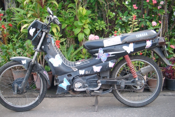ขาย b 100 ทะเบียนโอน ลูกแหวนใหม่ ใช้งานได้ทันที