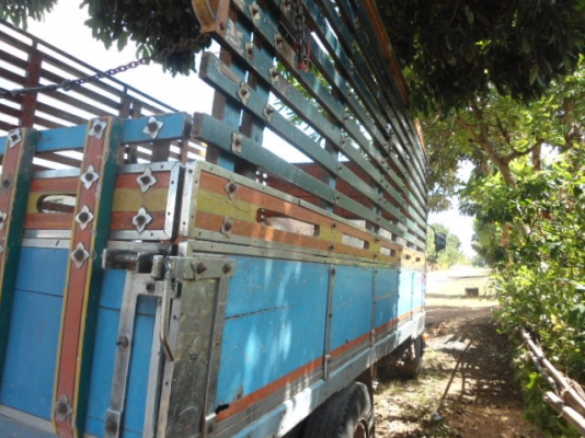 -ขาย  ร็อกกี้ห้างเเท้  145  แรง6BD1 สวยจัดถูกๆ