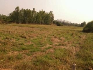 ขายที่นา  4 ไร่ หน้ากว้างประมาณ 55 เมตรยาว110เมตร  ใบ นส 3 ก จ.พิษณุโลก  อ.เนินมะปราง