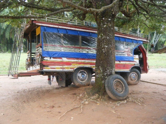 รถสองแถว 4 ล้อใหญ่ ยี่ห้อ ISUZU