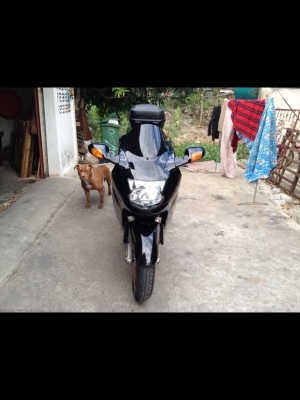 ขาย(แลก-เทริ์น)CBR1100XX super blackbird ปี2000หัวฉีด กุญแจชิพ (อินวอย+สพม+พรบ)เอกสารครบทุกฉบับ ของเหลวใหม่ ยางเต็มหน้าหลัง ผ้าเบรกเต็ม ระบบไฟดีครบทุกจุด ท่อสูตรเสียงนุ่มเพราะ แฮนแต่ง แบตใหม่